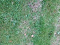2010-10-02 15-54-20 - IMG 1323